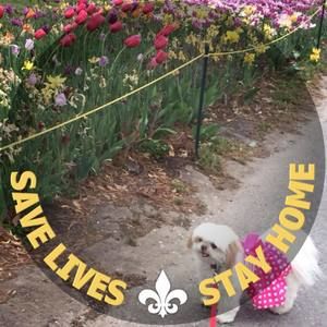 Meet your Posher, Phoebe